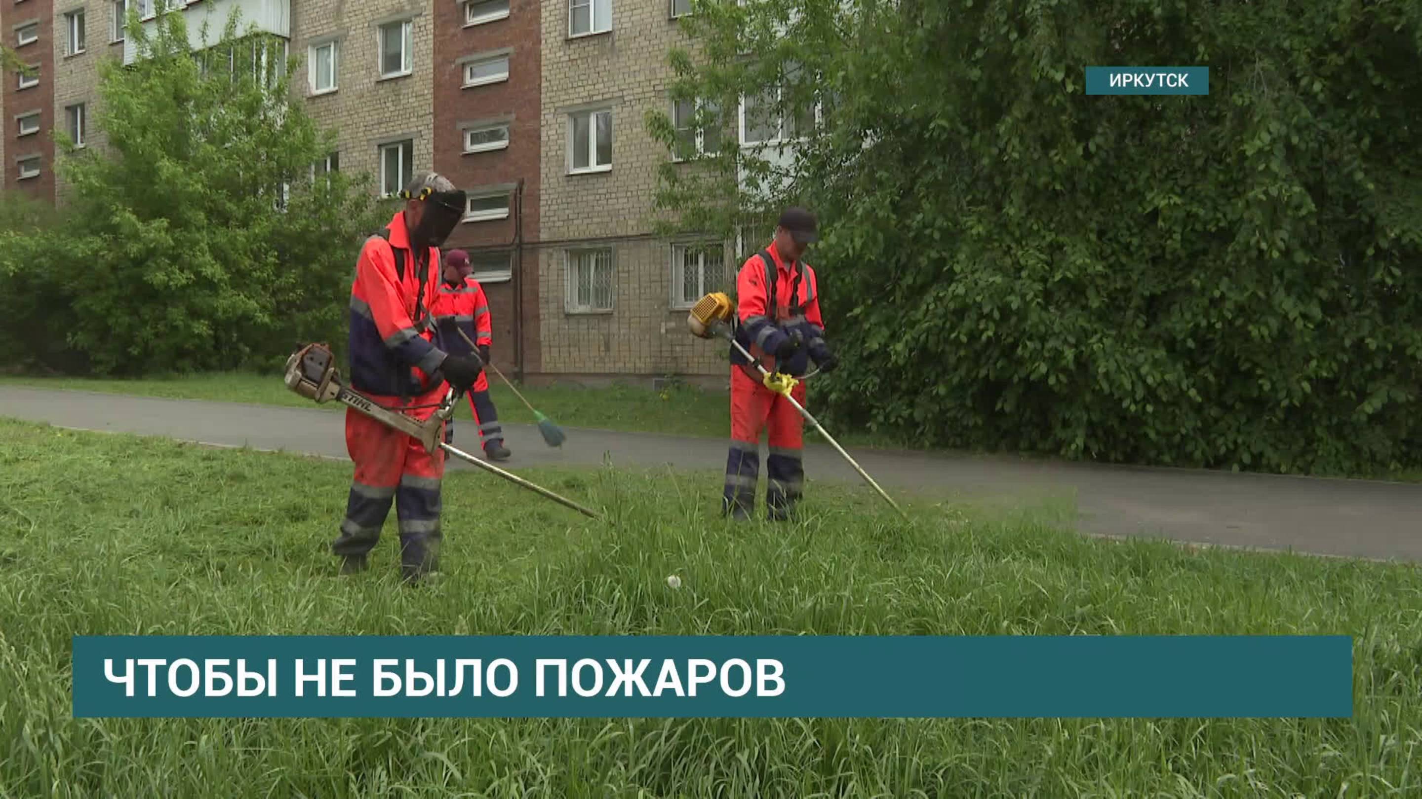 Трава против пожаров
