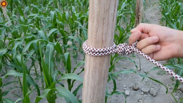 Very few people know these knots! A smart node