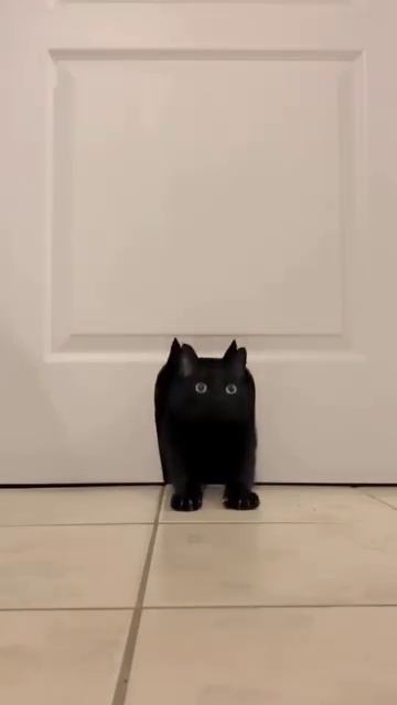Ку-ку 😽😽