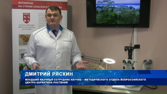 На улицах Воронежа появился борщевик
41 канал