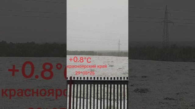 1000090726.mp4