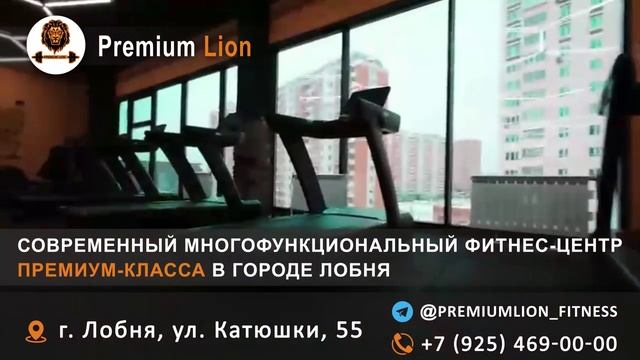 ТРАНСМЕДИА - PREMIUM LION