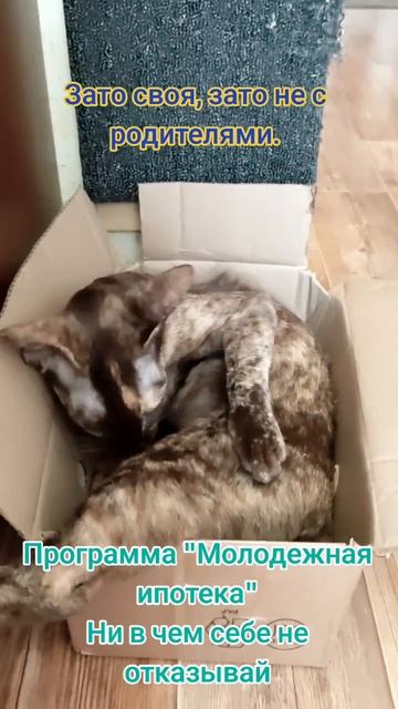 Молодежная ипотека