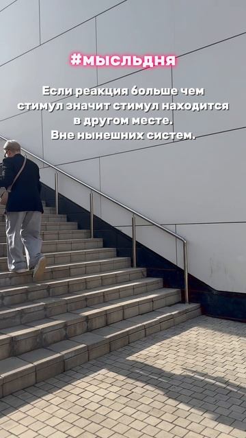 Мысль дня