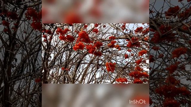 Я вспоминаю каждый день