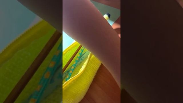 Пенал Пикачу крючком#крючком