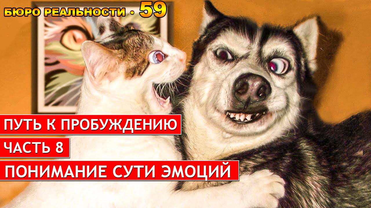 59. Путь к пробуждению. Часть 8. Понимание сути эмоций.