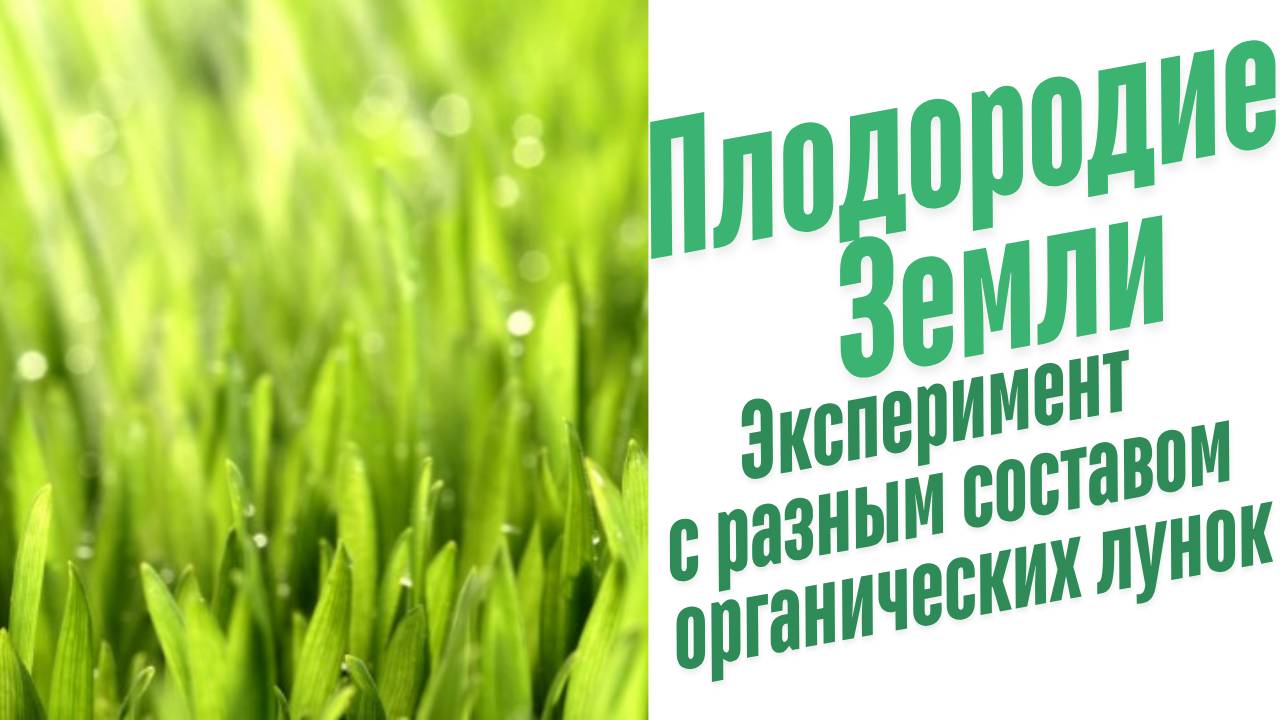 Эксперименты на растениях.