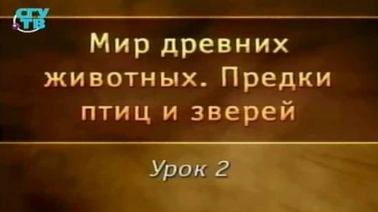 Предки птиц и зверей # 2. Летающие рептилии и их возникновение
