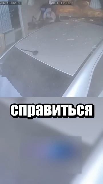 i11ushenka (1083)
