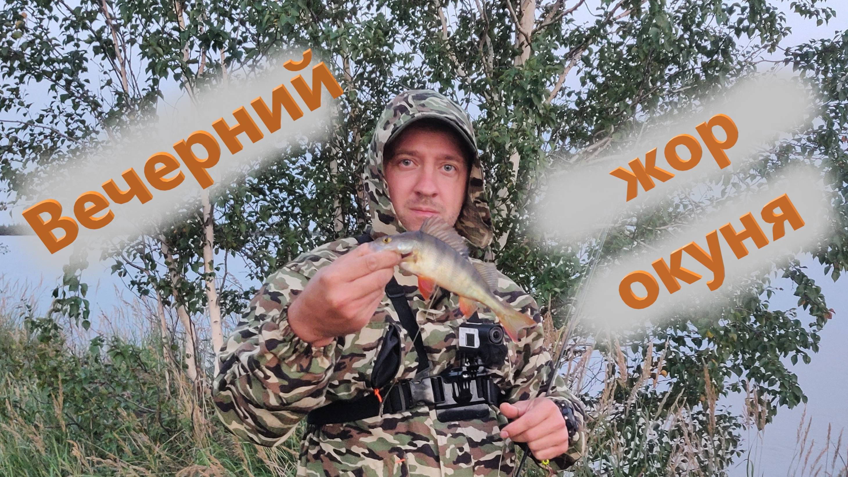 Попали под раздачу, Сорога монстр, крупный Окунь, Щука