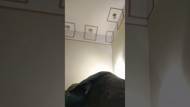 приведение👻