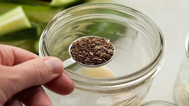 Консервированные огурцы с укропом