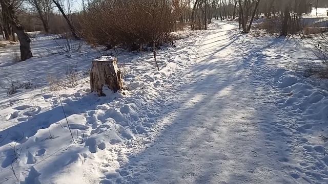 Муж решил, что его родственники могут заселиться в наш