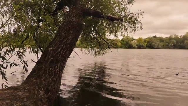 Дайте мне ключи от квартиры, я поживу в ней,- заявила св