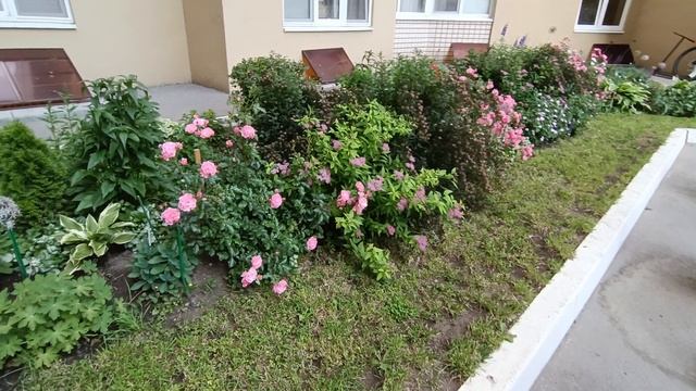 Центральная клумба мегаполис Саратов