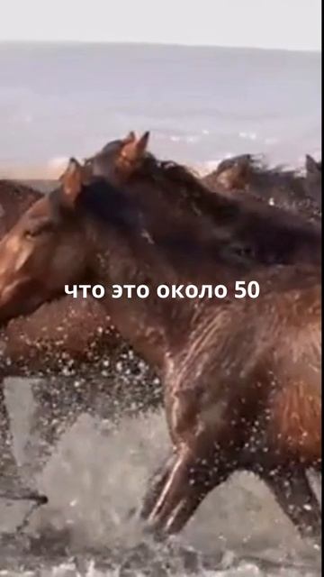 Кто он-мудрый человек?