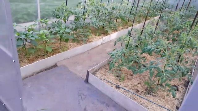 Приехала внучка, теперь  станет веселее.