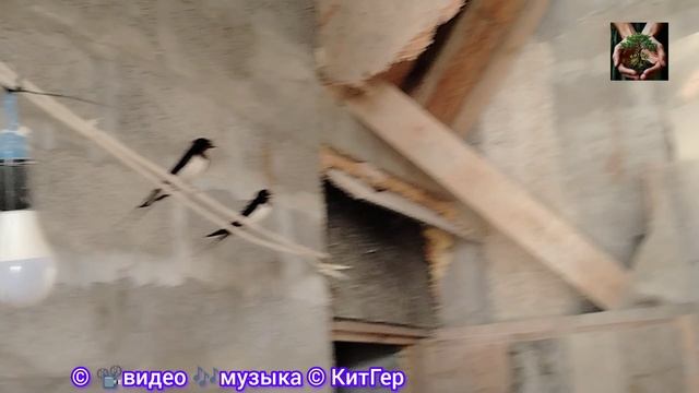 Второе поколение прилетело