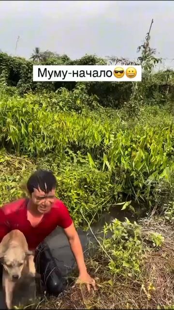 Муму начало