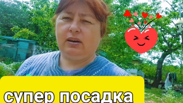 СУПЕР - ПОСАДКА СВОИМИ РУКАМИ.ЛУК СЕВОК