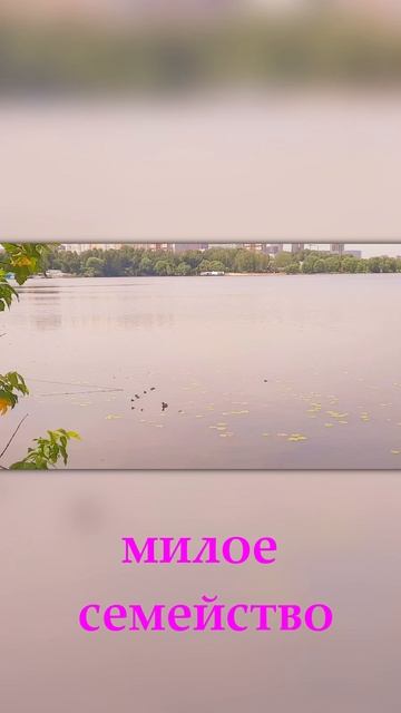 милое семейство 💕