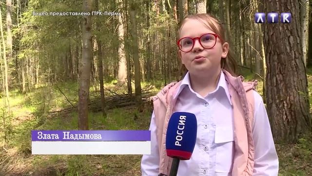 Добрянка. Инициативное бюджетирование