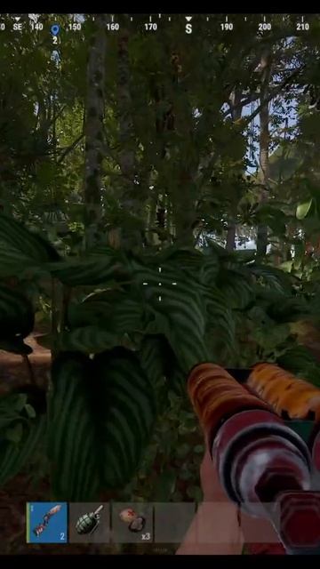 RUST  ДВУШКА