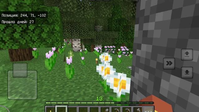 Minecraft game