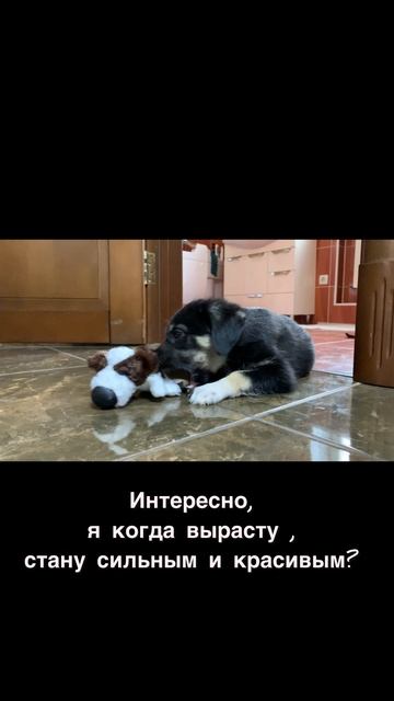 Ричард ❤️