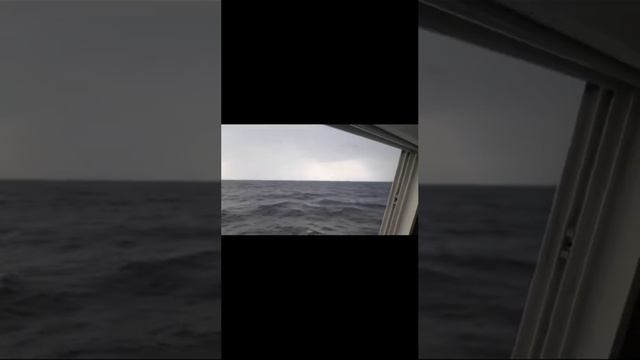 Саммари 2024