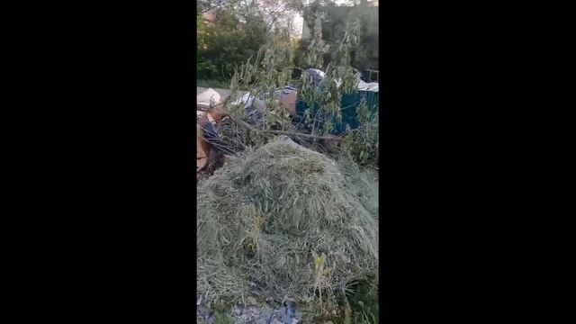 Мусор пер. Октябрьский 4 и пер. Октябрьский 6.