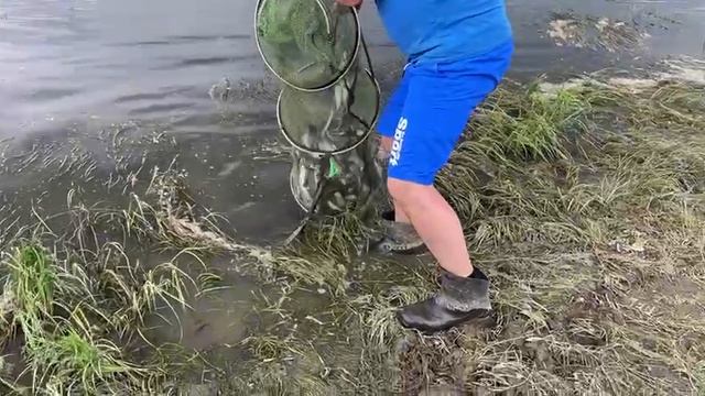 Рыбалка на Оке 29.05.2025г.