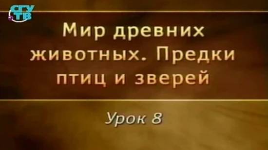 Предки птиц и зверей # 8. Дициондонты и горгонопсы