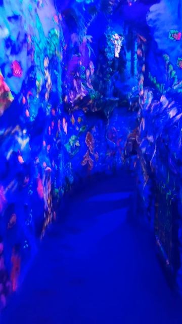 VID_20240612_113840