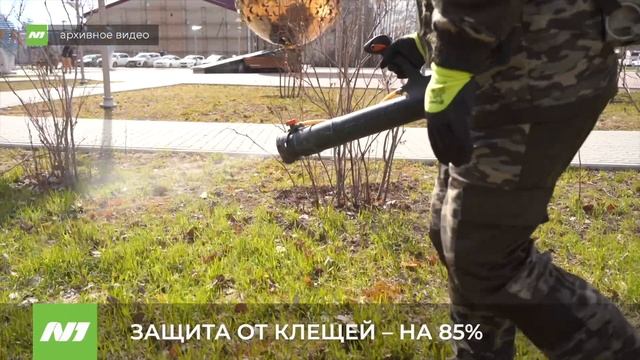 В Нижневартовске завершается первый этап обработки от клещей