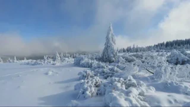 Ветерок завывая! (слова и музыка Зеленина А.Б)