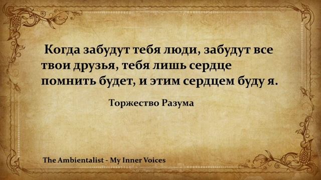 The Ambientalist - My Inner Voices
