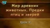 Предки птиц и зверей # 9. Цинодонты - предки млекопитающих