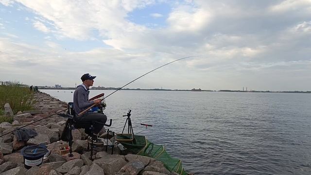 Всем привет! Ловля плотвы, как подобрать прикормку, Крючки, длину поводка и подача живого компанента
