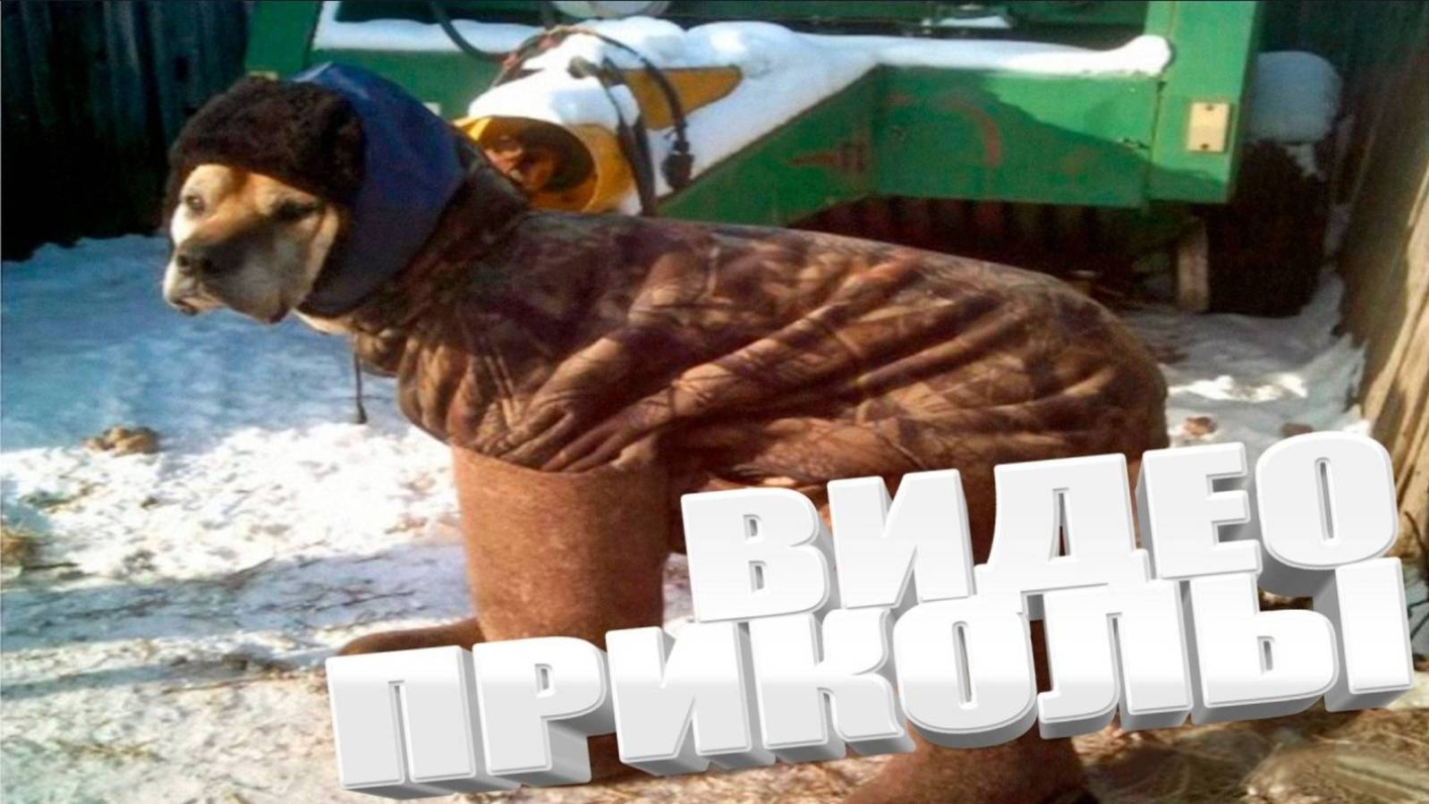 Подборка смешных видео и приколов Лучшие ПРИКОЛЫ 2025