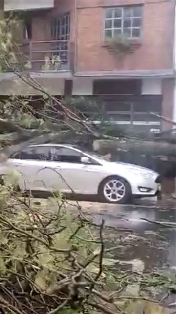 Последствия шквалистого ветра в Аргентине