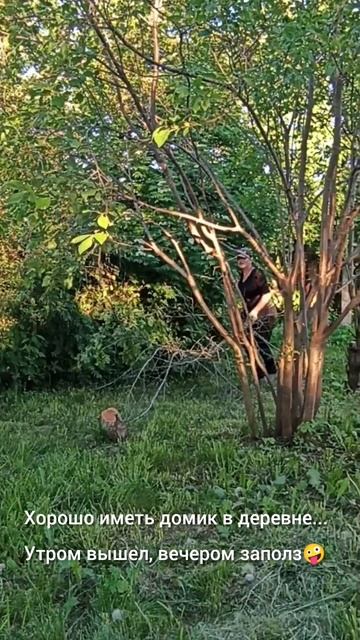 Хорошо в деревне летом...