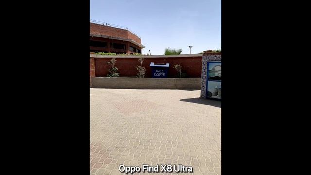 Vivo X200 Ultra vs Oppo Find X8 Ultra vs Xiaomi 15 Ultra - сравнение камер в реальной жизни