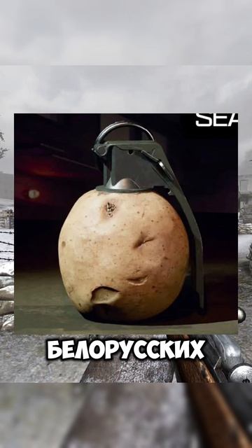 Картошка в дело #callofduty #potato