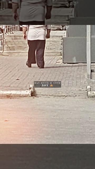 эдит