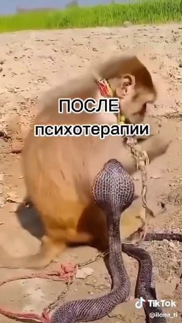 9d888c674e4646ea94edb4cc1521b523