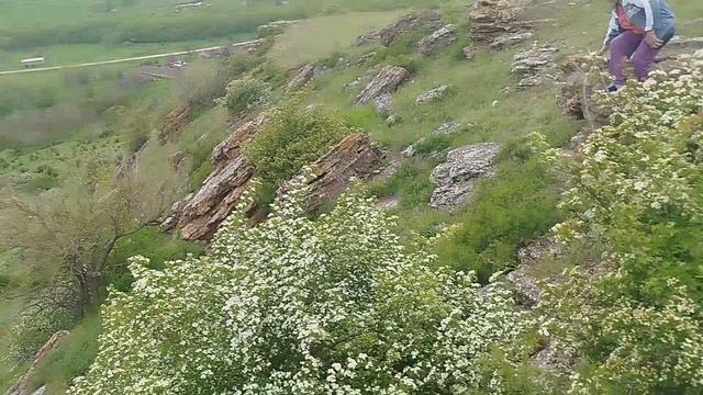 заказник "Подлужный"