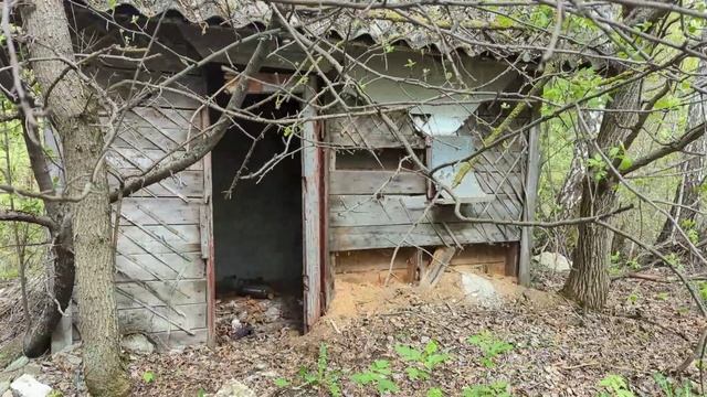 Прогулка между Цирканалом и Любовкой