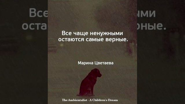 The Ambientalist - A Children Dreams